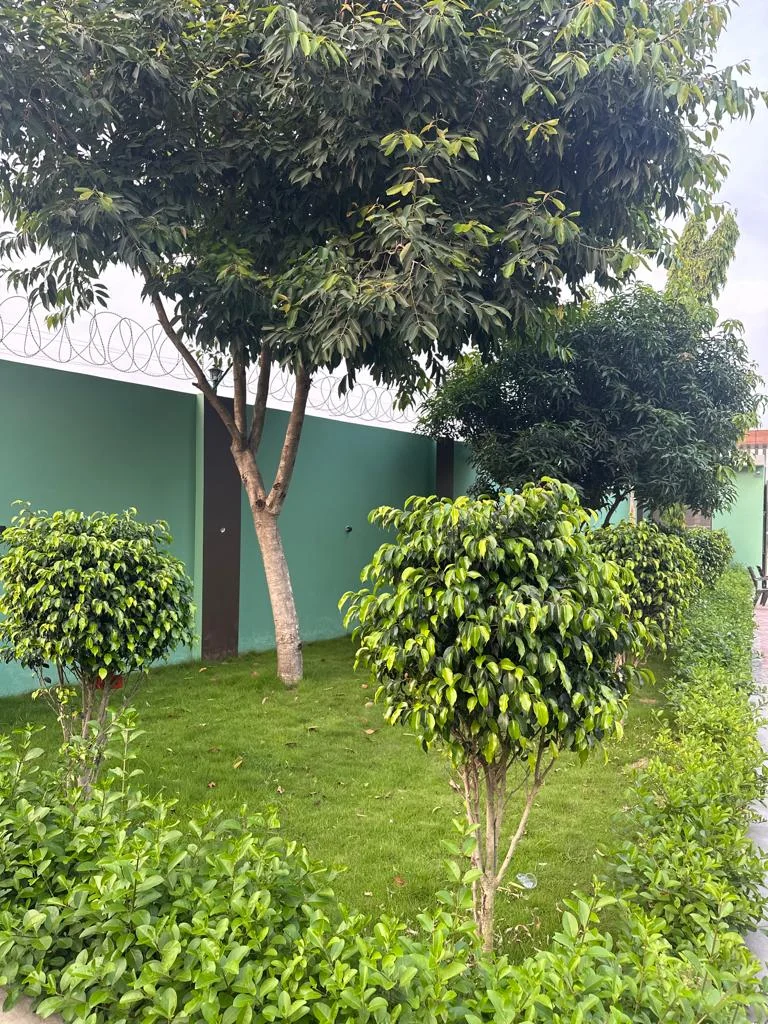 Green outdoor area at Hotel Sunshine